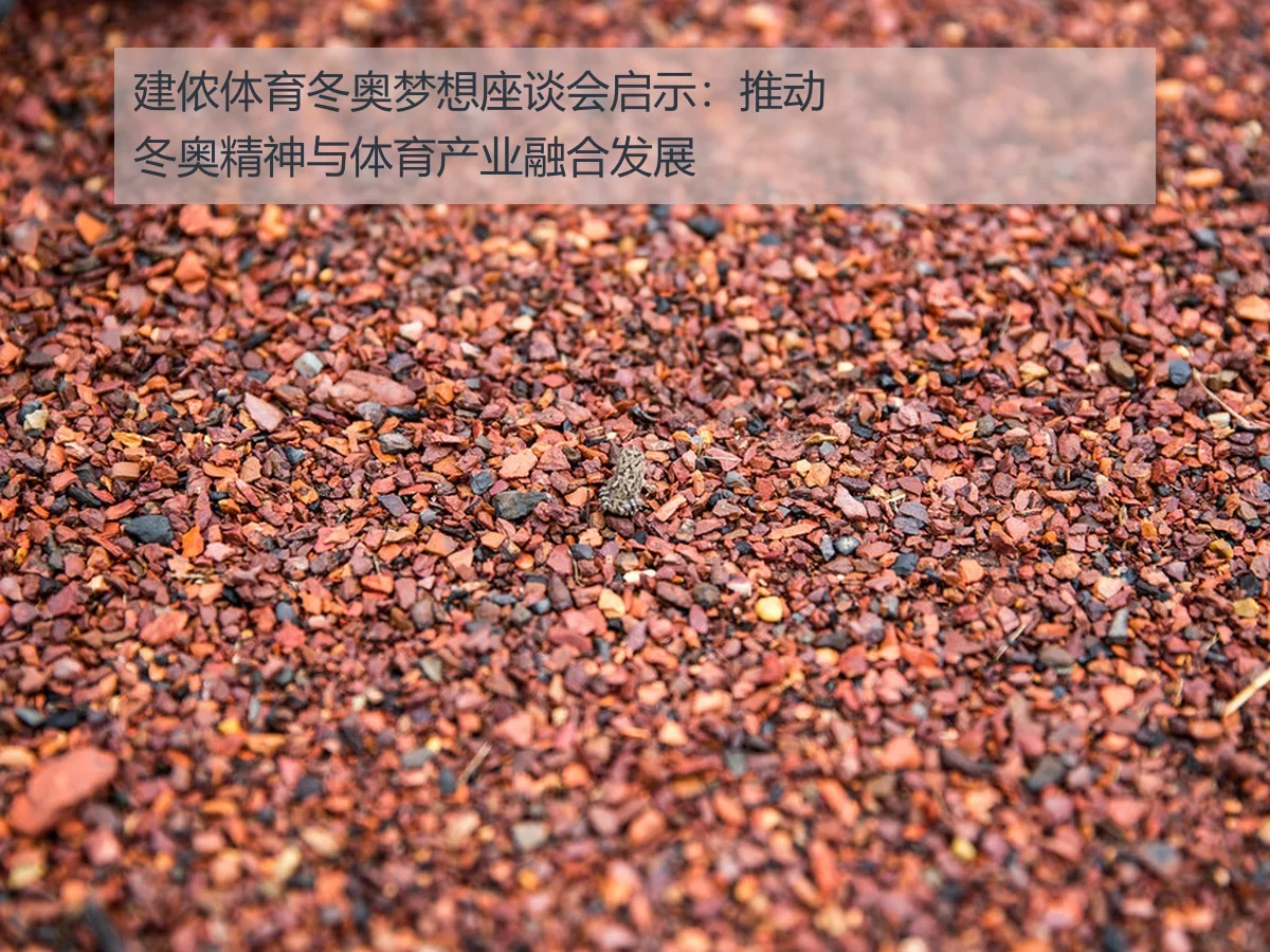 建侬体育冬奥梦想座谈会启示:推动冬奥精神与体育产业融合发展